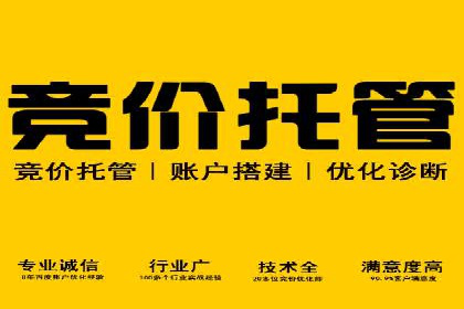 某某sem公司成功案例分享：从零到一的营销策略
